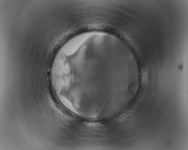 X0000115310637200911301536