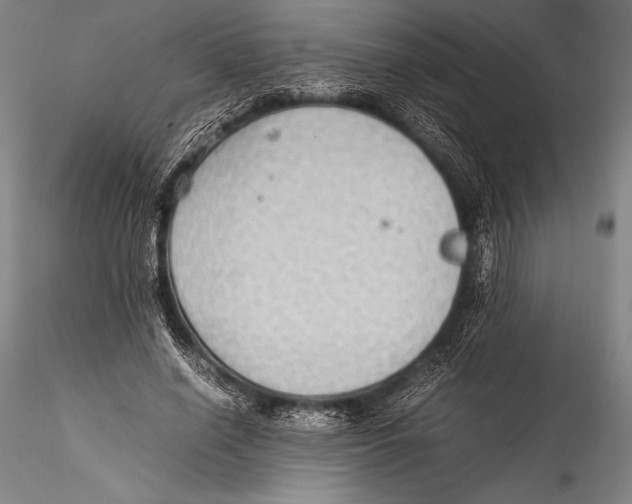 X0000115310638200911301536