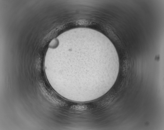 X0000115310639200911301536