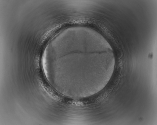 X0000115310640200911301536