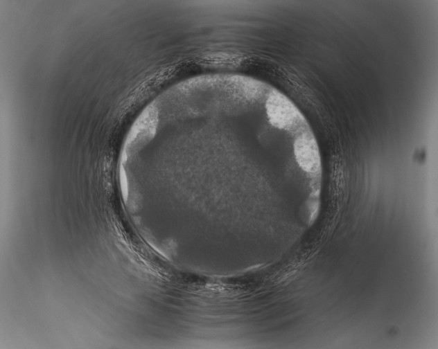 X0000115310641200911301536