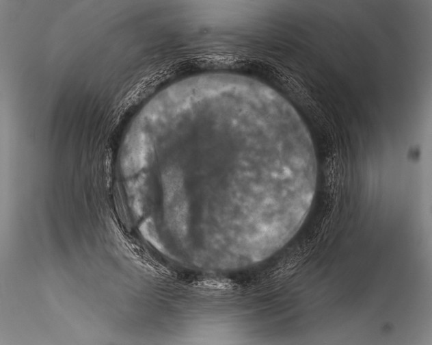 X0000115310642200911301536