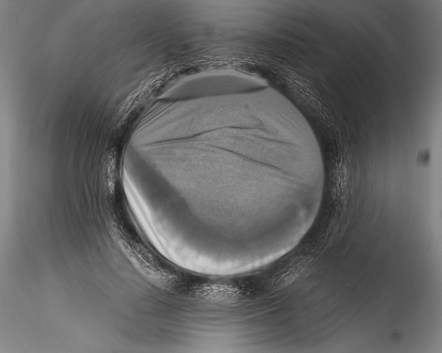 X0000115310644200911301536