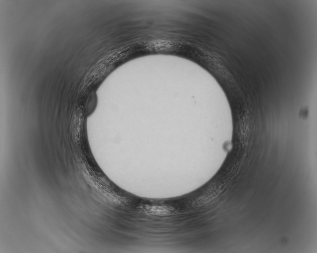 X0000115310645200911301536