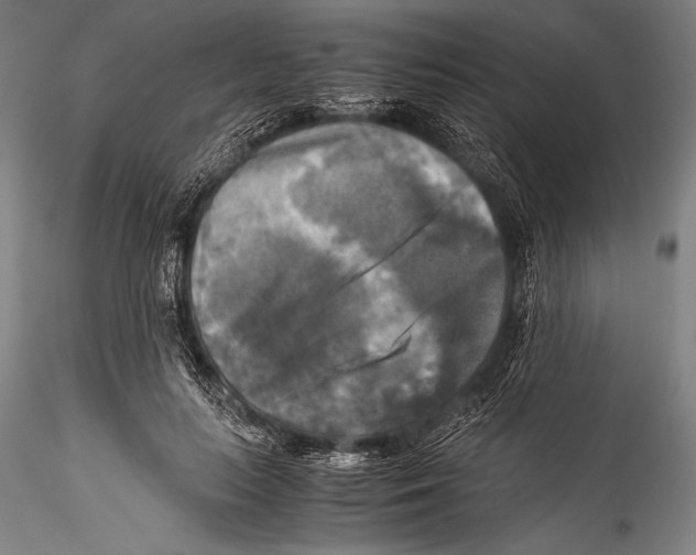 X0000115310647200911301536