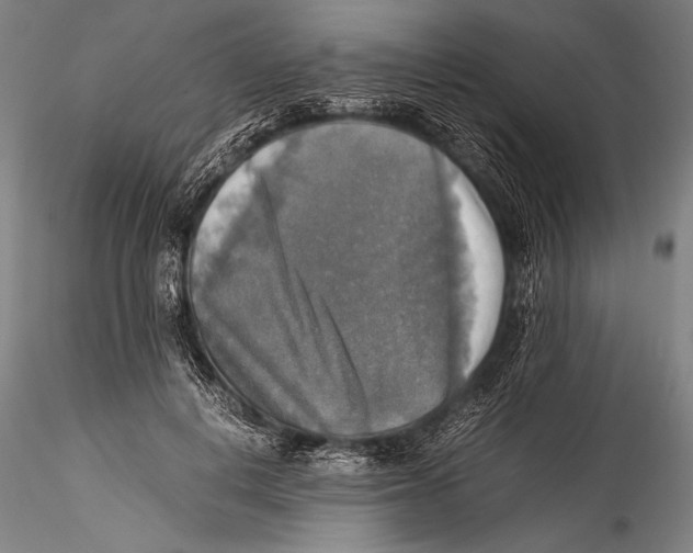 X0000115310648200911301536