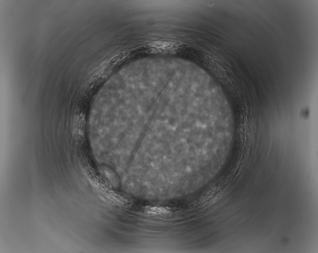 X0000115310649200911301536