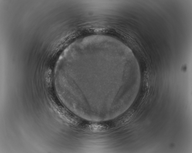 X0000115310650200911301536