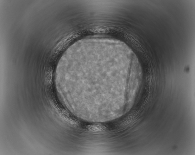 X0000115310652200911301536