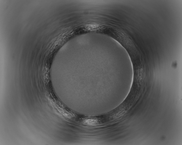 X0000115310653200911301536