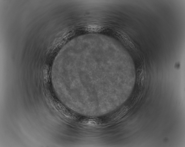 X0000115310655200911301536