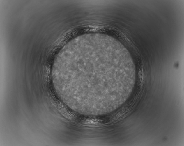 X0000115310657200911301536