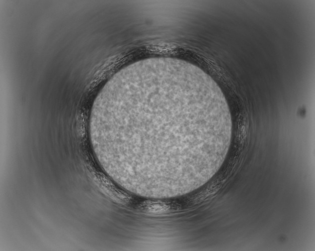 X0000115310658200911301536