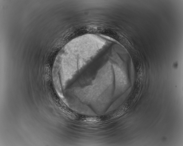 X0000115310659200911301536