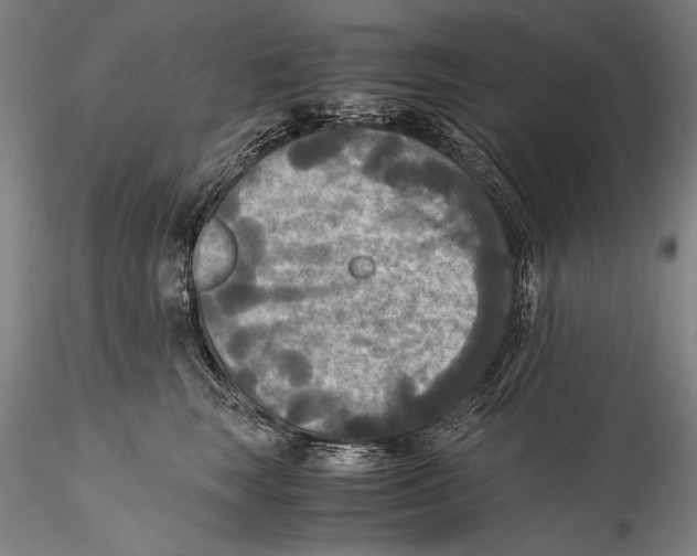 X0000115310663200911301537