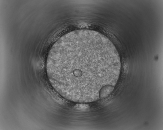 X0000115310665200911301537