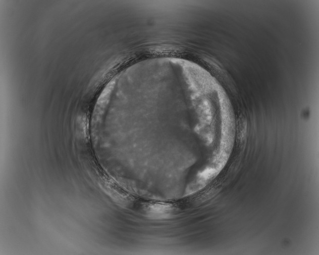 X0000115310669200911301537