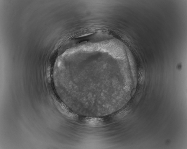 X0000115310670200911301537