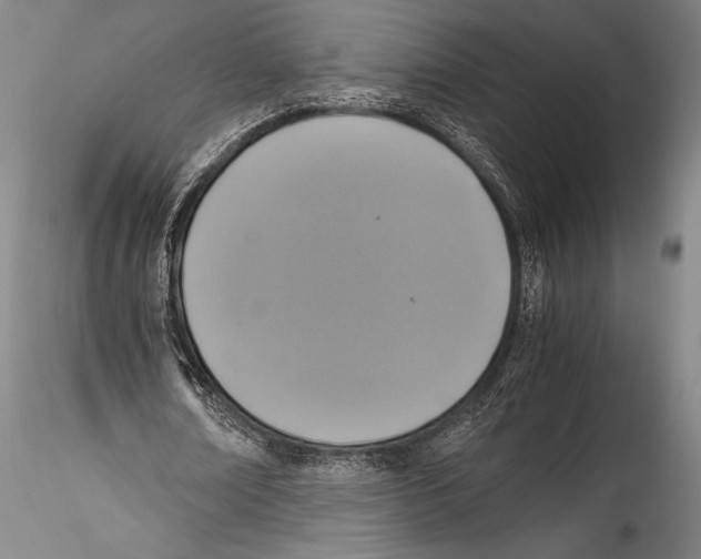 X0000115310674200911301536