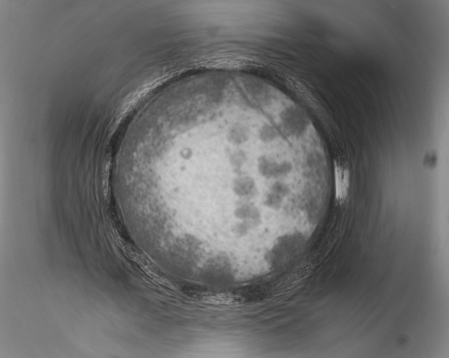 X0000115310675200911301536