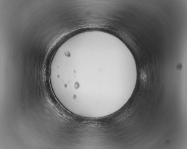 X0000115310676200911301536