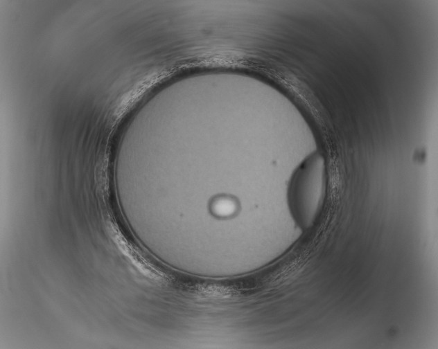 X0000115310677200911301536