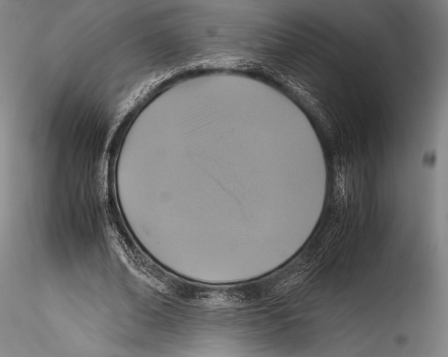 X0000115310678200911301536