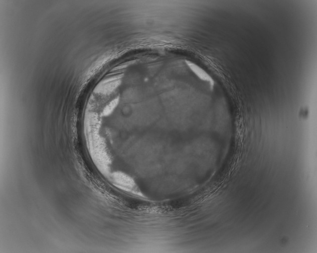 X0000115310679200911301536