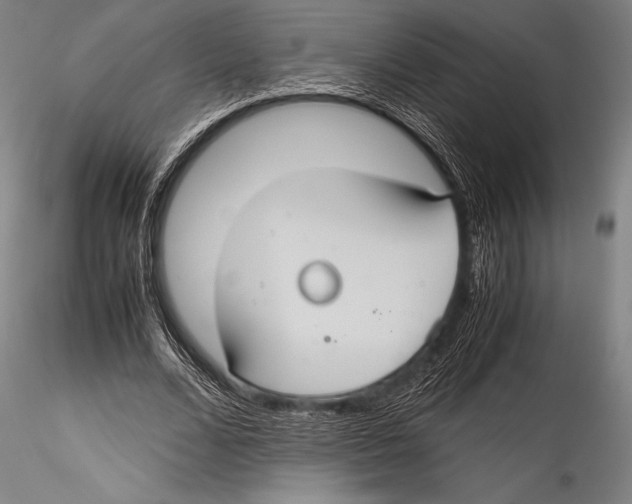 X0000115310680200911301536