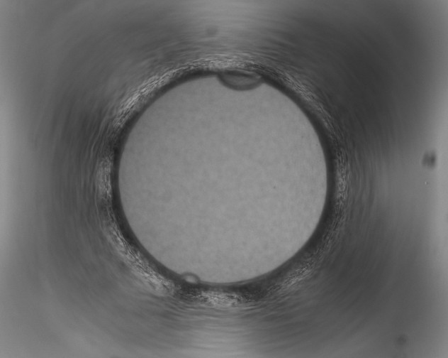 X0000115310681200911301536