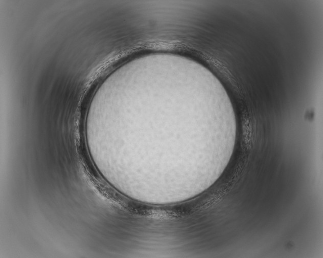 X0000115310682200911301536