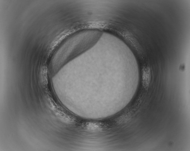 X0000115310684200911301536