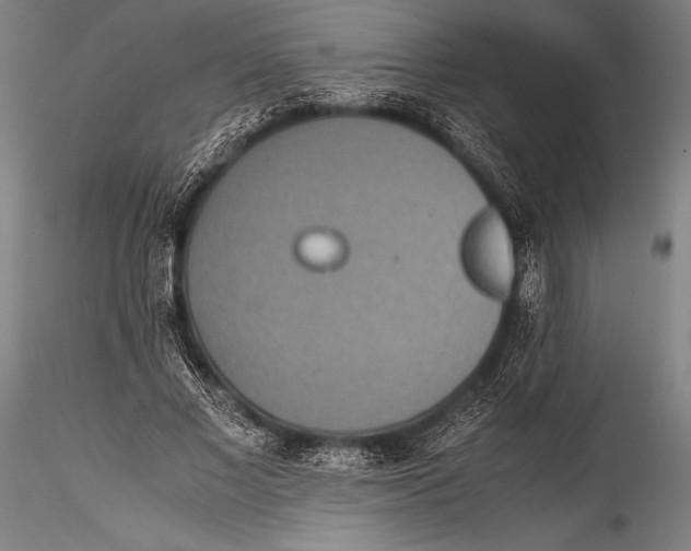 X0000115310685200911301536