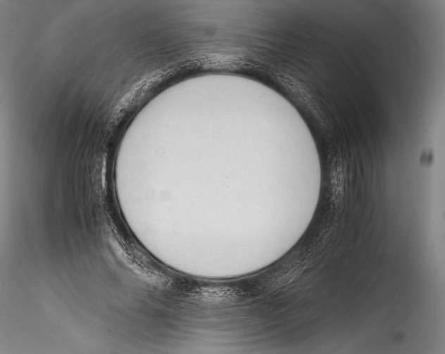 X0000115310686200911301536