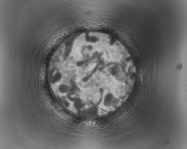 X0000115310687200911301536