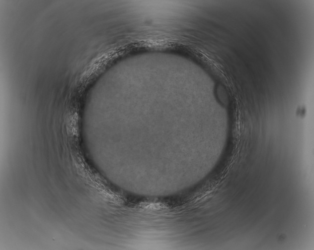 X0000115310689200911301536