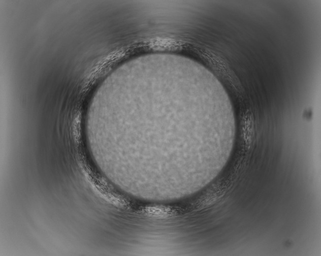 X0000115310690200911301536