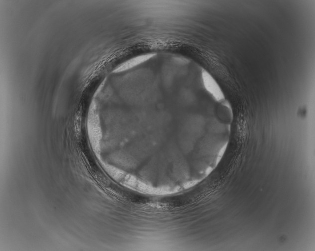 X0000115310691200911301536