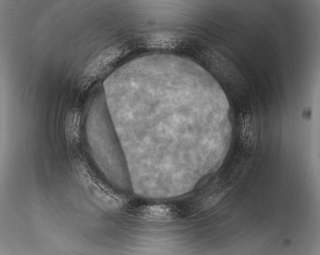 X0000115310692200911301536