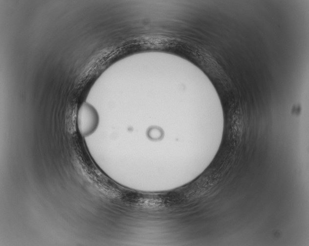 X0000115310694200911301536