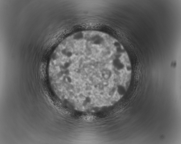 X0000115310695200911301536