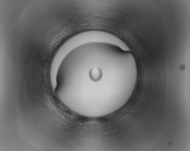 X0000115310696200911301536