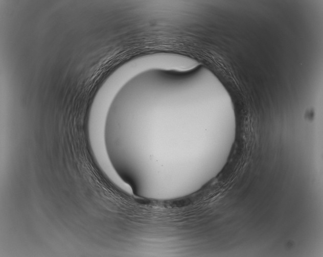 X0000115310697200911301536