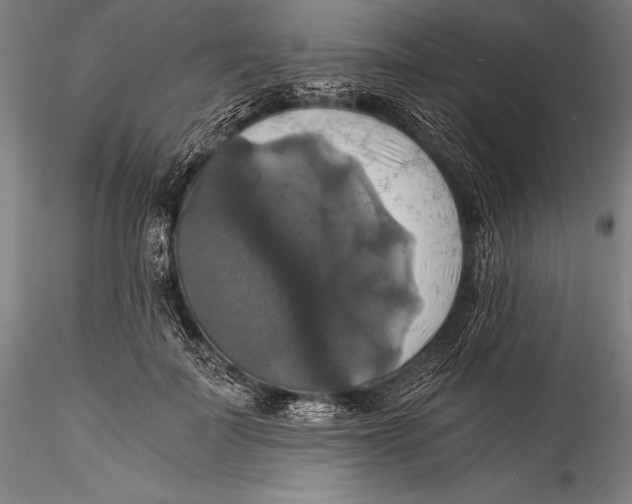 X0000115310699200911301536