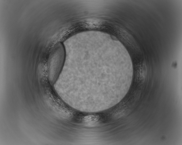 X0000115310700200911301536