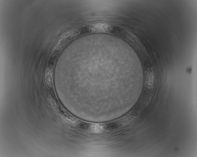 X0000115310701200911301536