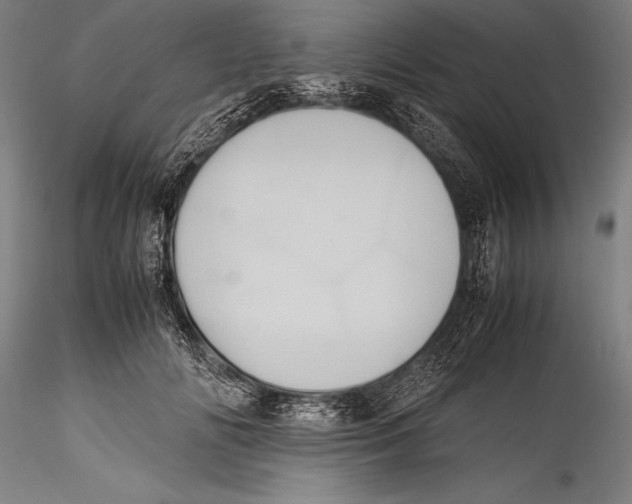 X0000115310702200911301536