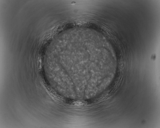 X0000115310703200911301536