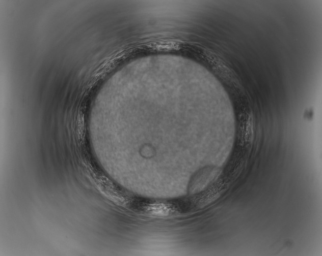 X0000115310704200911301536