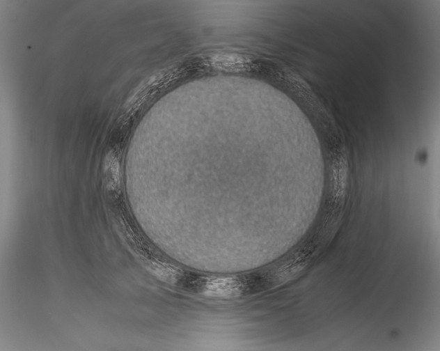 X0000115310705200911301536